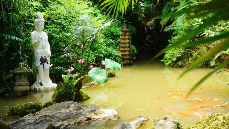 Ta thường nhầm lẫn giữa việc yêu mình và sống ích kỷ