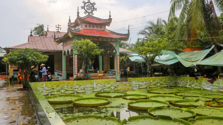 Chùa Sen Nia (Đồng Tháp)