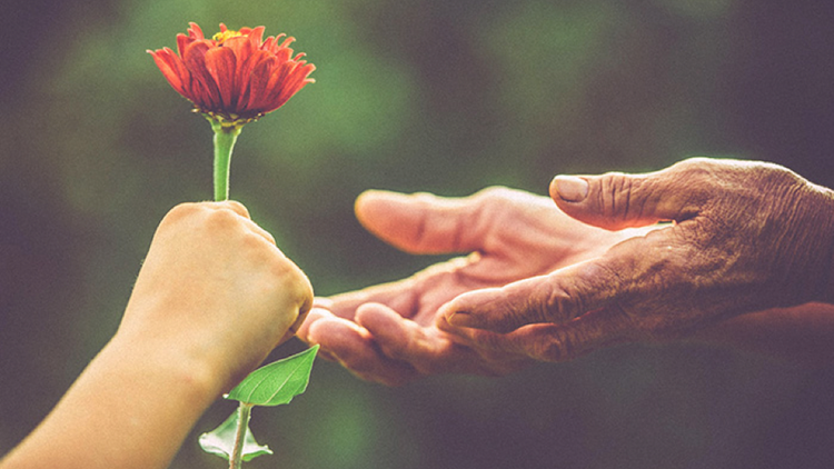 Thấu cảm để sống thiện lành