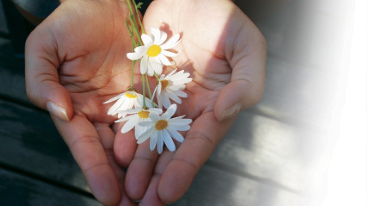 Tình thương – "Linh dược" chữa lành khổ đau 