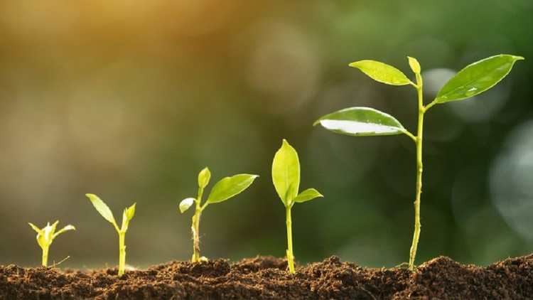 Sống tỉnh thức trước vô thường cuộc đời