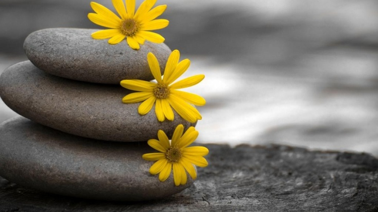 Tâm nóng giận làm hại đời ta