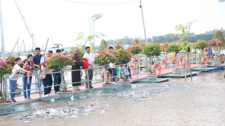 Đại diện các cơ quan thành phố và bà con cùng tham gia phóng sanh