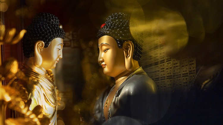 Giữ tâm thanh thản trước người không thương mình