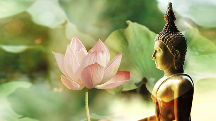 Lời Phật dạy về hai hạng người không biết chán đủ