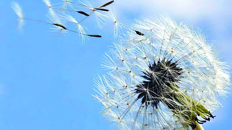 Trong cuộc sống phải biết thương mình