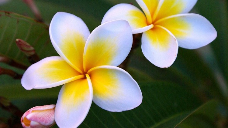 Làm sao để có an tịnh, mát mẻ