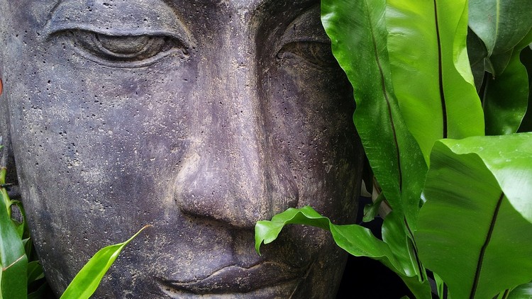 Sống thật chậm, để sống được lâu