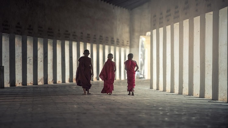 Người trí tuệ sẽ cố gắng tu dưỡng bản thân