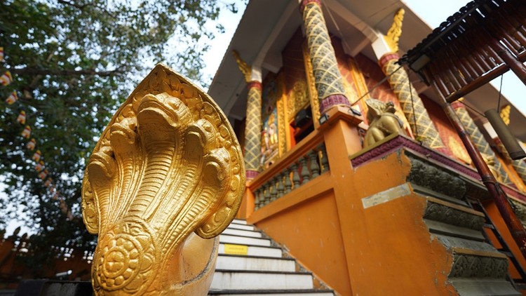 Độc đáo ngôi chùa ở TP HCM với nhiều tượng rắn