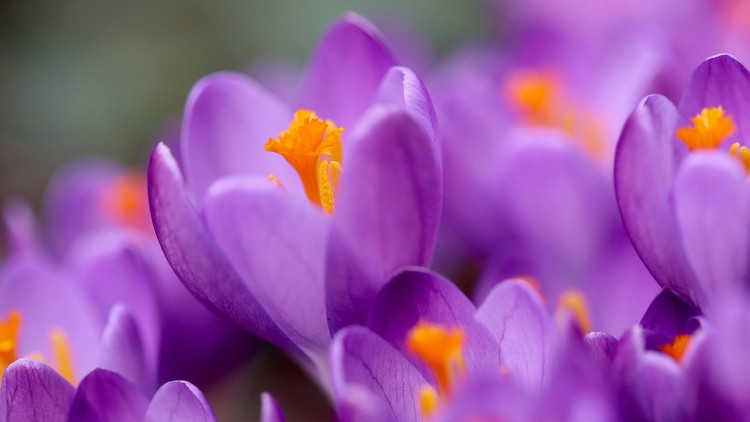 Tình yêu bền vững được xây dựng trên nền tảng của sự hiểu và thương