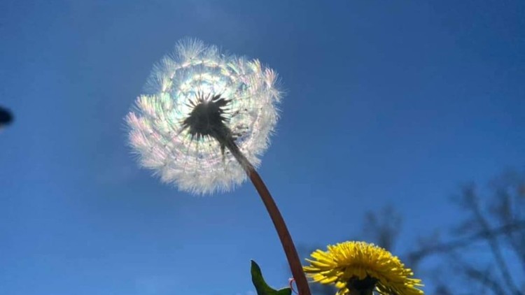 Đừng mong cuộc sống bớt đi khó khăn, hãy mong mình trở nên mạnh mẽ hơn