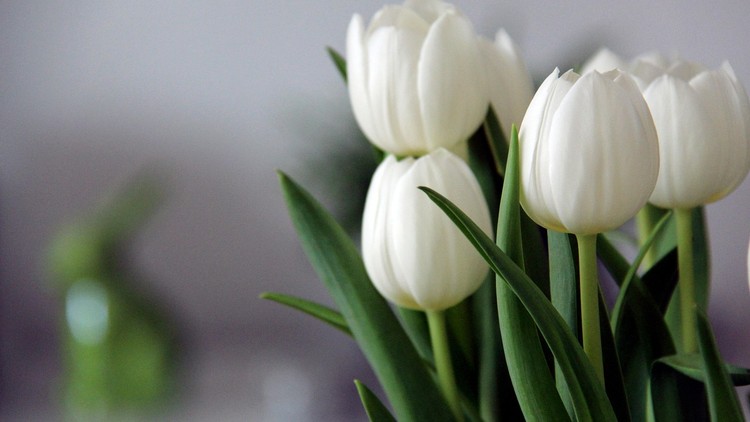 Ăn gì giảm đau khớp gối?