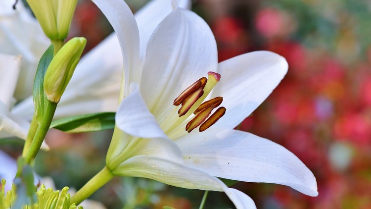 Có lúc thấy lòng đầy nghẹt, cần được khơi thông