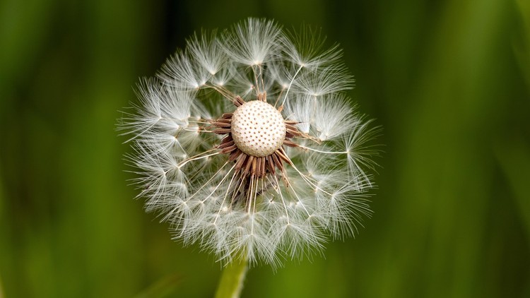 Lấy sự “khù khờ” để giữ gìn sự lương thiện