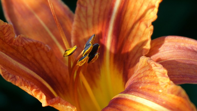 Chăm sóc từ gốc!