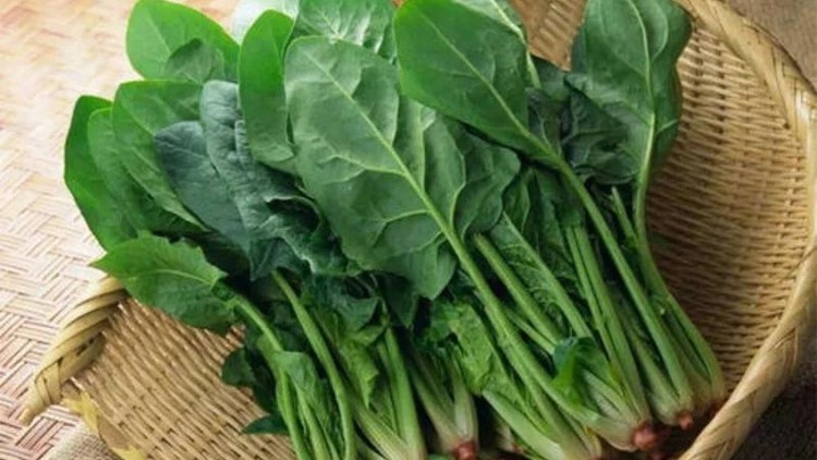 Điều gì xảy ra khi ăn cải bó xôi hàng ngày?