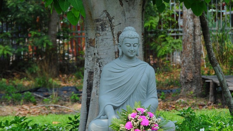 Buông bỏ đúng chánh Pháp