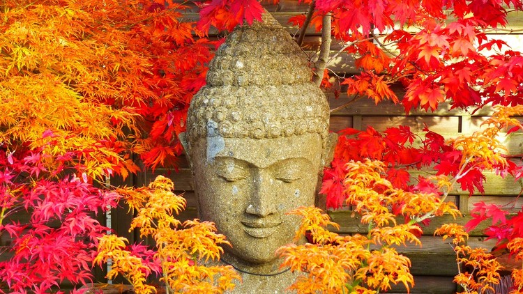 Phật dạy về năm pháp khiến diệu pháp hỗn loạn