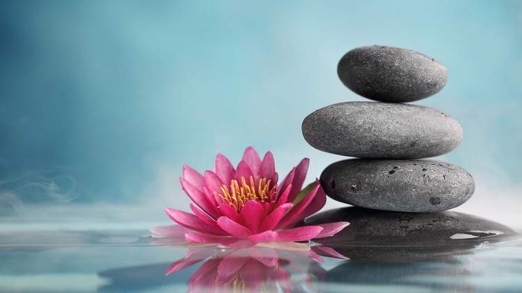 Chánh niệm có thể chuyển hóa cuộc sống của ta