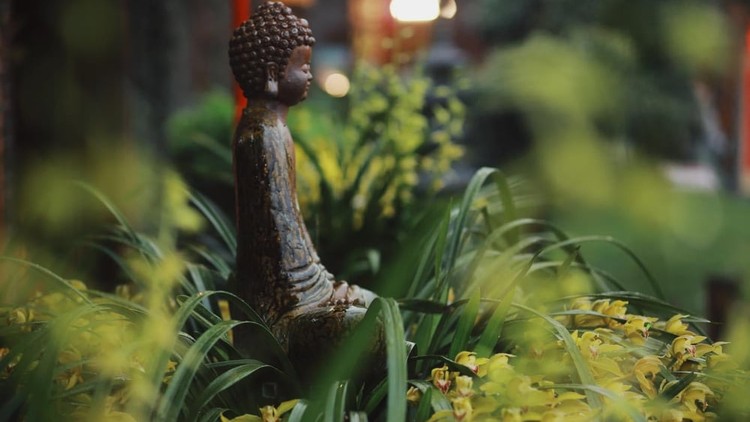 Đức hạnh hay công danh và tiền bạc cao hơn?