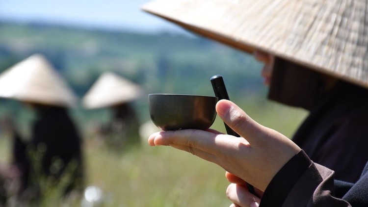 Khi chưa tu, ta dễ đồng hóa cái mình muốn thấy với cái đang là