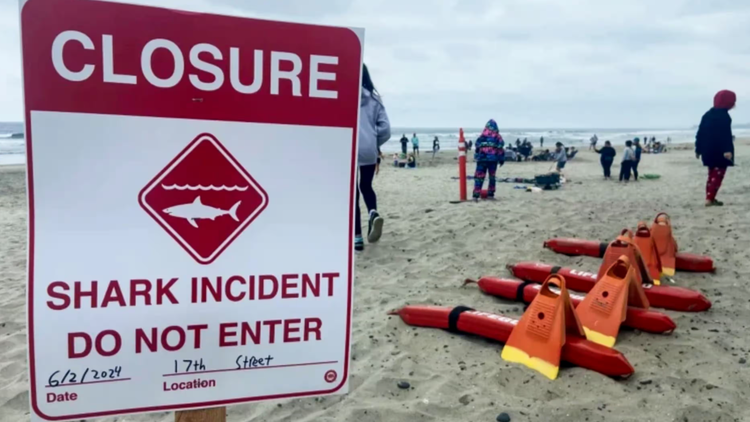 Vụ việc khiến bãi biển Del Mar City phải tạm thời đóng cửa. Ảnh: City of Del Mar