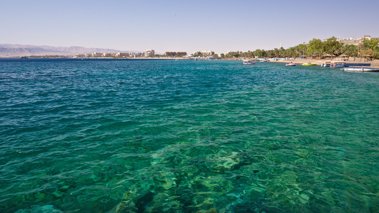 Nỗ lực đưa Khu bảo tồn biển Aqaba lên bản đồ UNESCO. Ảnh: Expedia