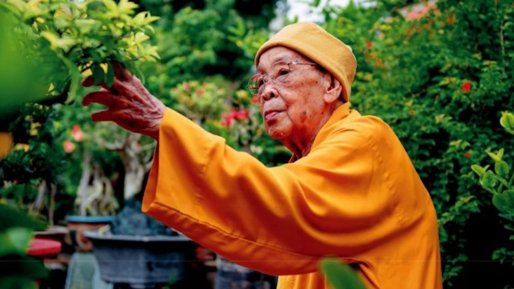 Hòa thượng Thích Hiển Tu – Chân dung bậc Long tượng Phật giáo