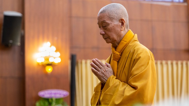 Nguyên nhân của khổ đau và tội lỗi