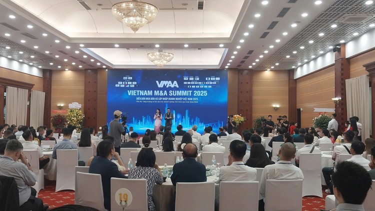 Toàn cảnh M&A Summit 2025