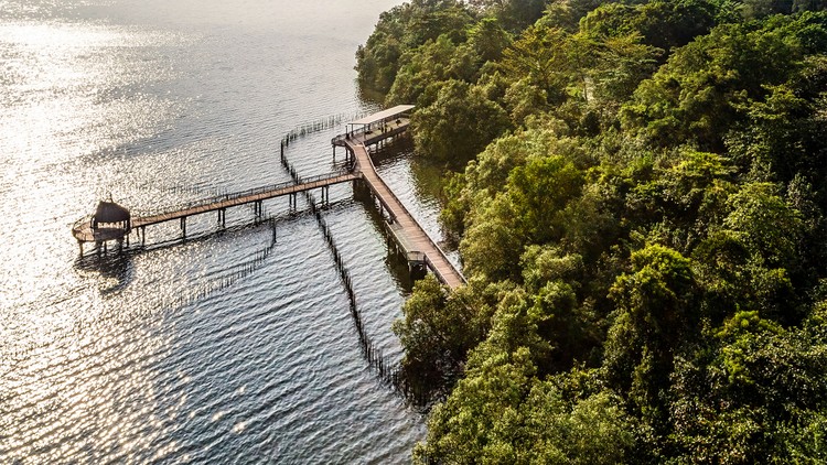 Du lịch kiểu “sống chậm”: Ngắm nhìn Singapore qua lăng kính tĩnh lặng