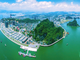 Kinh tế số đóng vai trò then chốt trong việc thúc đẩy chuyển đổi xanh tại các đô thị biển, góp phần quan trọng vào phát triển bền vững và tăng trưởng kinh tế. Ảnh: Một góc thành phố Hạ Long, tỉnh Quảng Ninh.