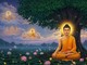 Lộ trình Thành đạo của Bồ-tát Siddhartha