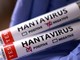 Thái Lan xếp virus Hanta vào nhóm “bệnh truyền nhiễm nguy hiểm”