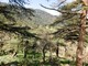 UNESCO công nhận vườn quốc gia Algeria là Khu dự trữ sinh quyển thế giới