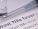 Số ca nhiễm virus Tây sông Nile gia tăng khắp châu Âu