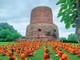 Sarnath được UNESCO chính thức công nhận Di sản thế giới