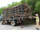 Tổ tuần tra kiểm soát, đội CSGT đường bộ số 1 tiến hành đo đạc, xử lý phương tiện vi phạm. (Ảnh: Hoàng Anh)