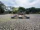 Hiện tượng El Nino gây hạn hán nghiêm trọng tại Costa Rica.