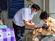 Cán bộ thú y tiêm vaccine phòng dại cho chó để phòng ngừa dịch bệnh.