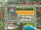 Đơn vị phát triển dự án Baria New Town Bà Rịa - Vũng Tàu nợ BHXH hơn 300 triệu đồng.