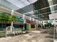 Trường Hoa Sen và PennSchool dừng hoạt động: Phải đảm bảo quyền lợi cho hơn 1.000 học sinh
