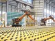 Mục tiêu của Chiến lược nhằm xây dựng hệ thống tiêu chuẩn Việt Nam hiện đại, mở, hài hòa tiêu chuẩn quốc tế, đóng vai trò là hạ tầng thể chế mềm của quốc gia. (Ảnh minh họa)