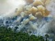 Khu vực rừng Amazon tại Brazil phát thải nhiều hơn so với hấp thụ khí CO2