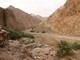 UNESCO đã ghi danh Khu bảo tồn Wadi Wurayah thuộc dãy núi Hajar ở Tiểu vương quốc Fujairah (UAE) vào “bảng vàng” thế giới. Ảnh: thenationalnews.com