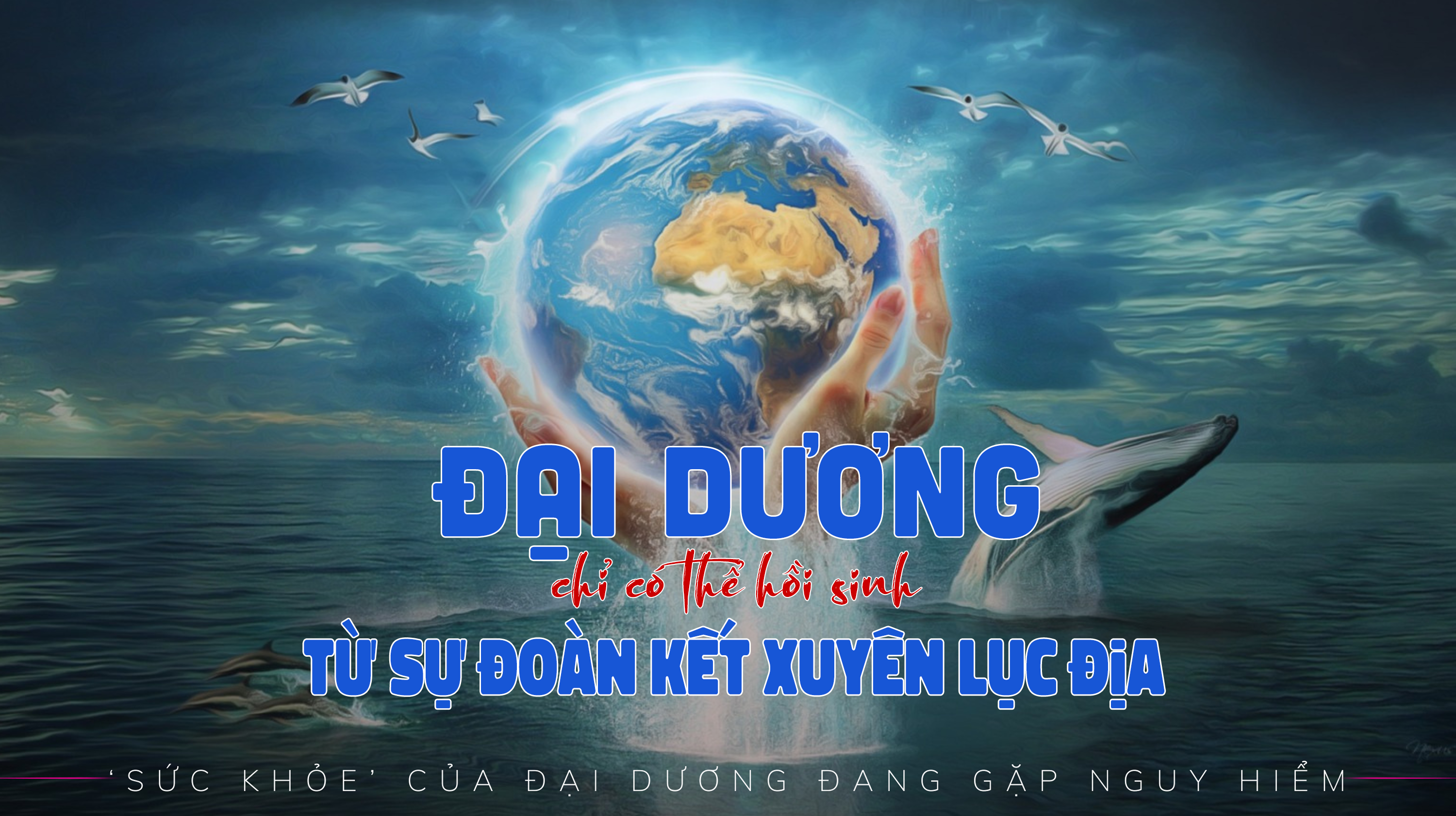 ‘Sức khỏe’ đại dương đang gặp nguy hiểm - Bài 3: Đại dương chỉ có thể hồi sinh từ sự đoàn kết