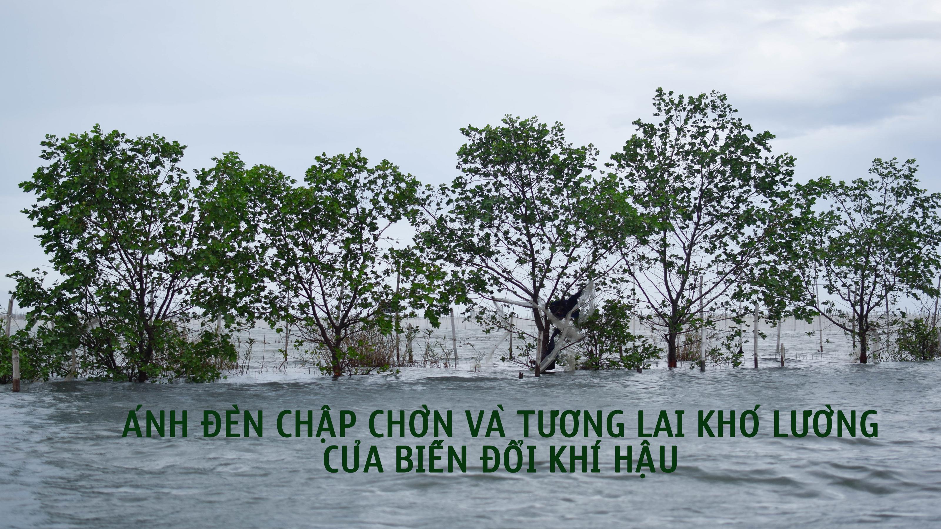 Ánh đèn chập chờn và tương lai khó lường của biến đổi khí hậu 