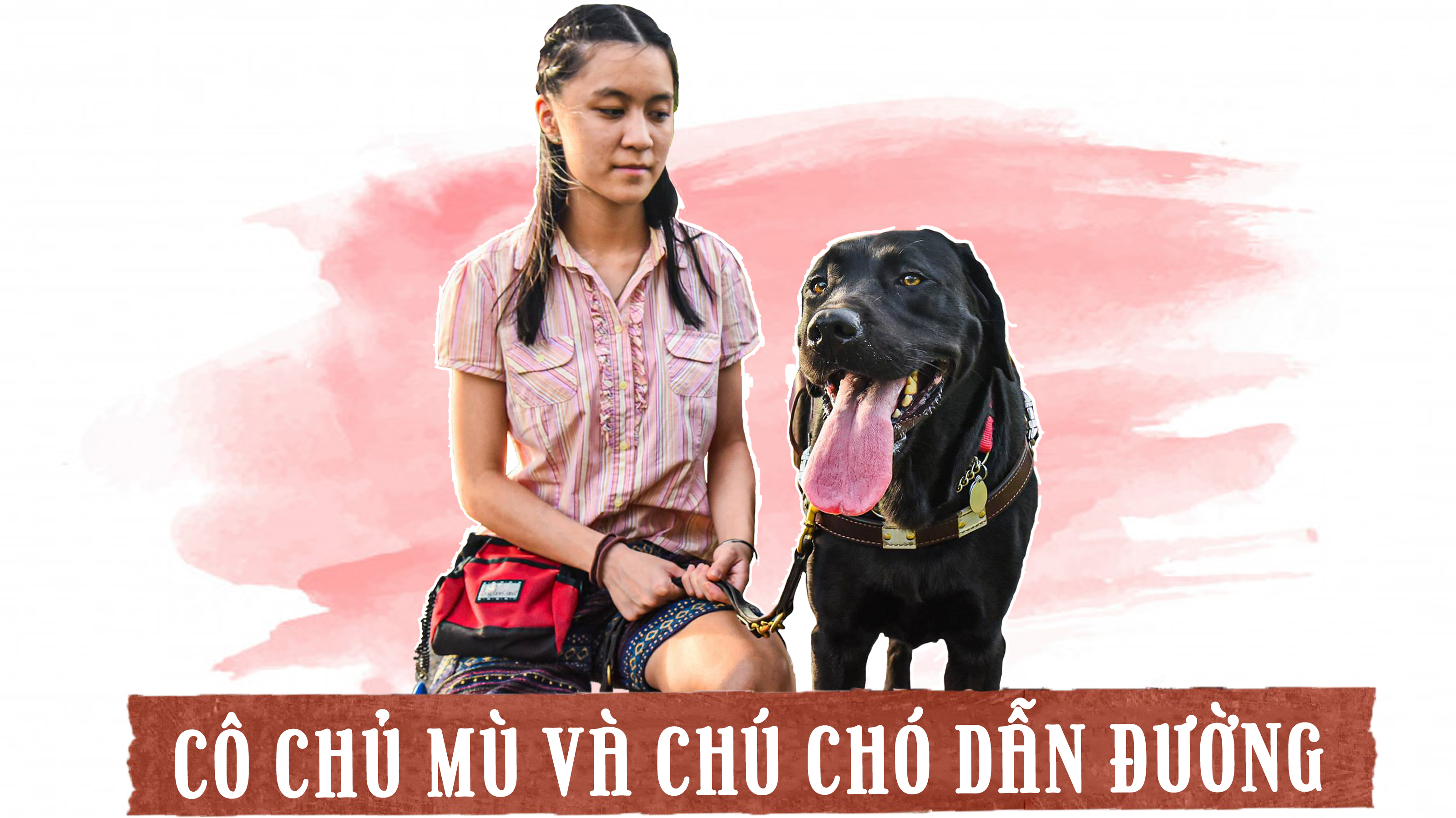 Cô chủ mù và chú chó dẫn đường