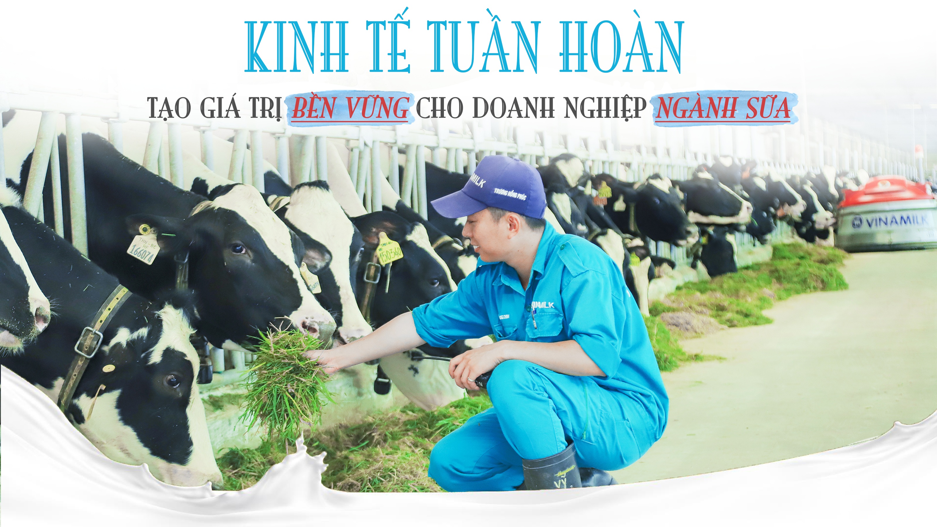 ‘Kinh tế tuần hoàn’ tạo giá trị bền vững cho doanh nghiệp ngành sữa